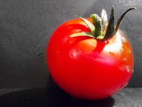Penne in Tomaten-Ricotta-Sauce