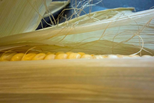 Succotash – Küchendschinn