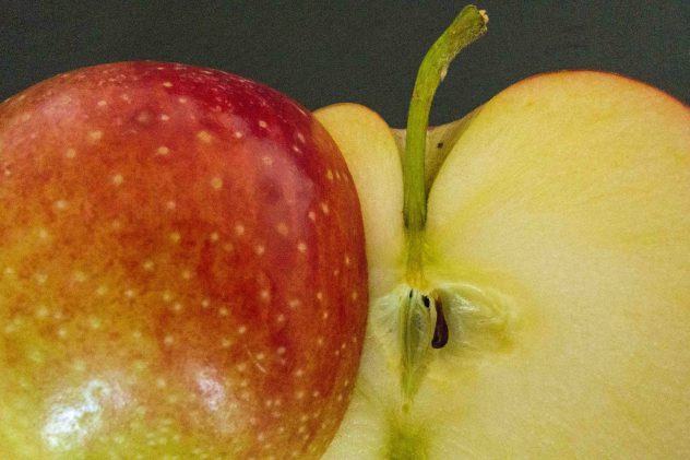 Apfel-Clafoutis – Küchendschinn