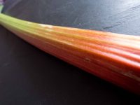 Rhubarb The Red