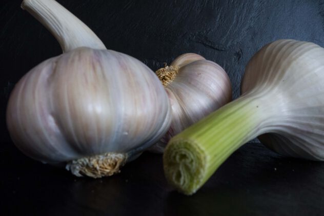 Hummus “Dschinn” – Küchendschinn